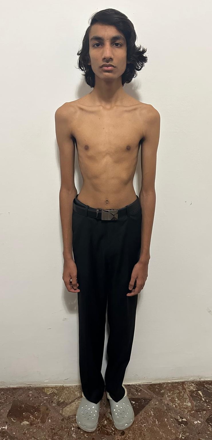 Model Image 2