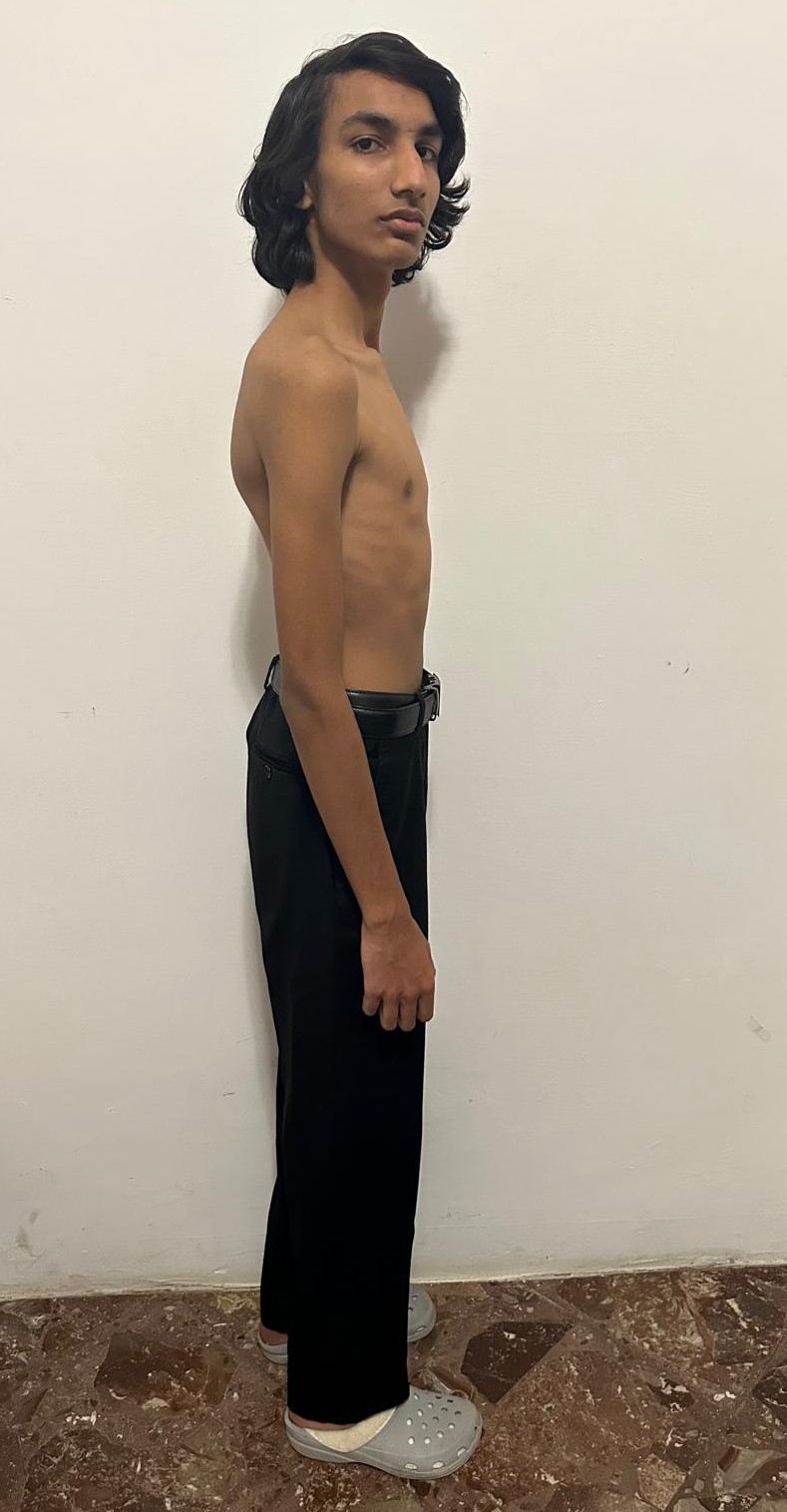Model Image 4